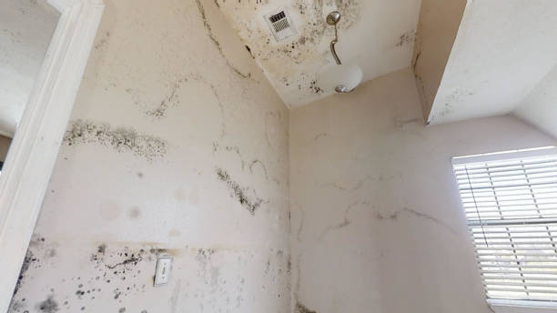 Best Indoor Air Quality Assessment  in Lake Heritage, PA