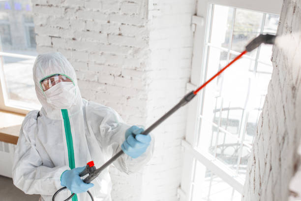 Best Mold Odor Removal Services  in Lake Heritage, PA