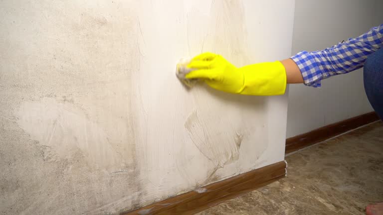 Best Crawl Space Mold Remediation  in Lake Heritage, PA