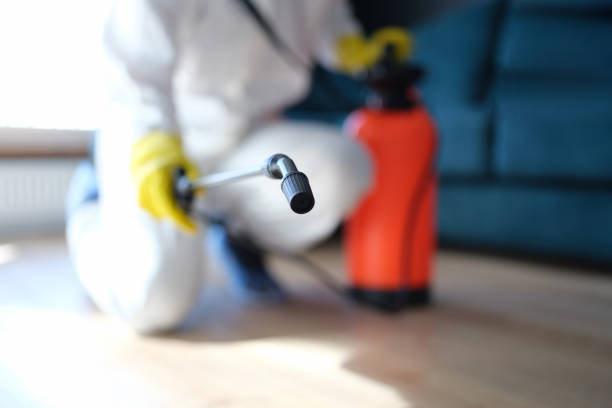 Best Mold Removal for HVAC Installations  in Lake Heritage, PA