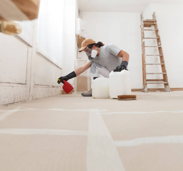 Best Mold Damage Restoration  in Lake Heritage, PA