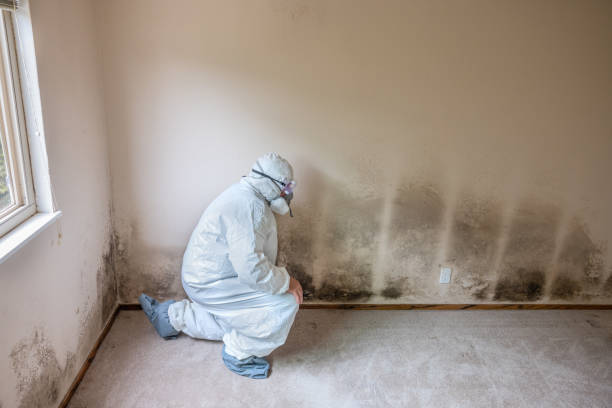 Best Emergency Mold Remediation  in Lake Heritage, PA